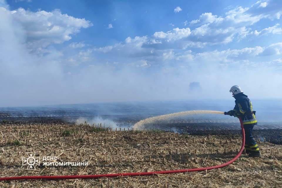 Вогнеборці розповіли про наймасштабнішу пожежу в селі Коростенського району: горіло 2,5 га сухостою