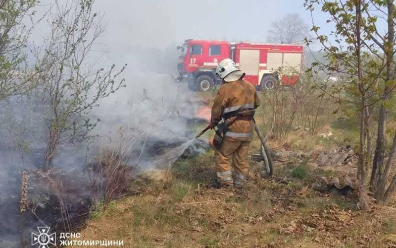 У селі на Олевщині сталося загоряння на площі 2,5 га
