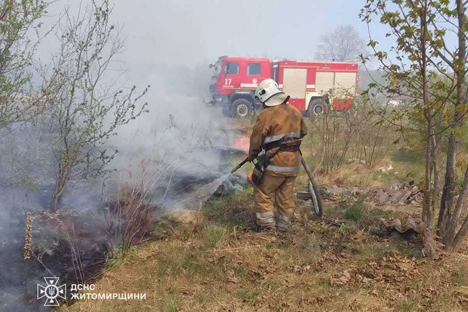 У селі на Олевщині сталося загоряння на площі 2,5 га