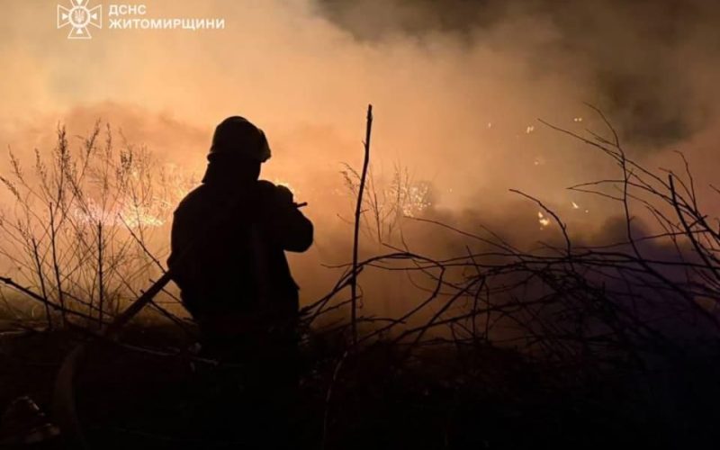 У селі поблизу Коростеня горіла суха трава: існувала загроза поширення вогню на житлові будинки