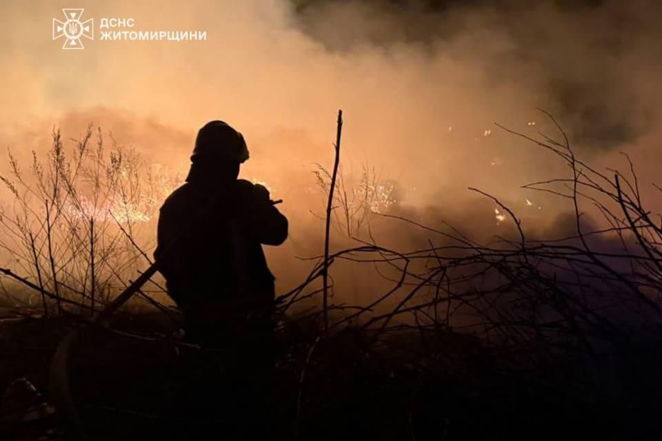 У селі поблизу Коростеня горіла суха трава: існувала загроза поширення вогню на житлові будинки