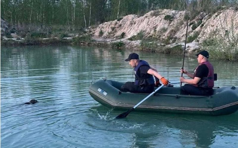 З водойми в селі Коростенського району рятувальники дістали тіло чоловіка