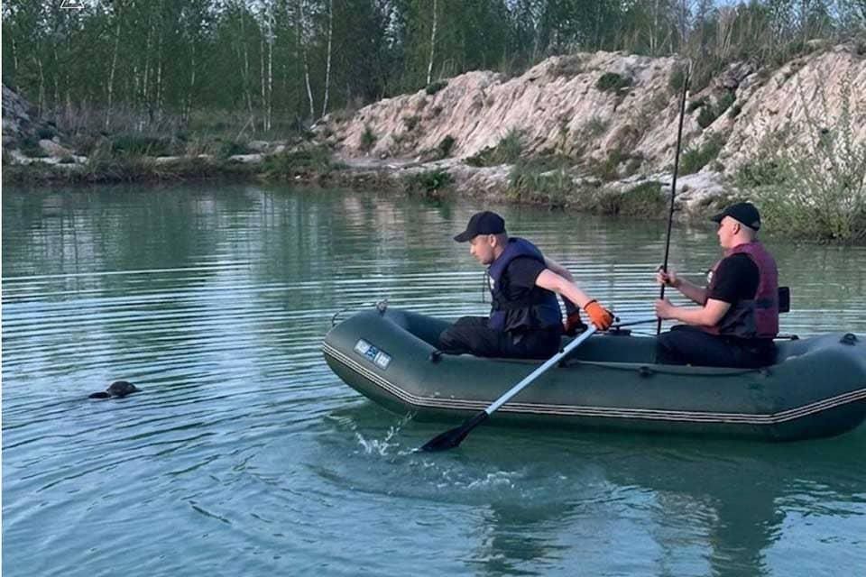 З водойми в селі Коростенського району рятувальники дістали тіло чоловіка