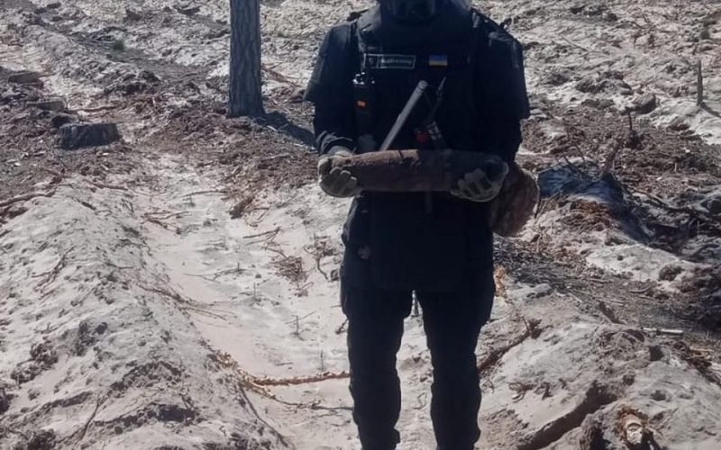 Сапери знищили артснаряд знайдений у селі на Малинщині