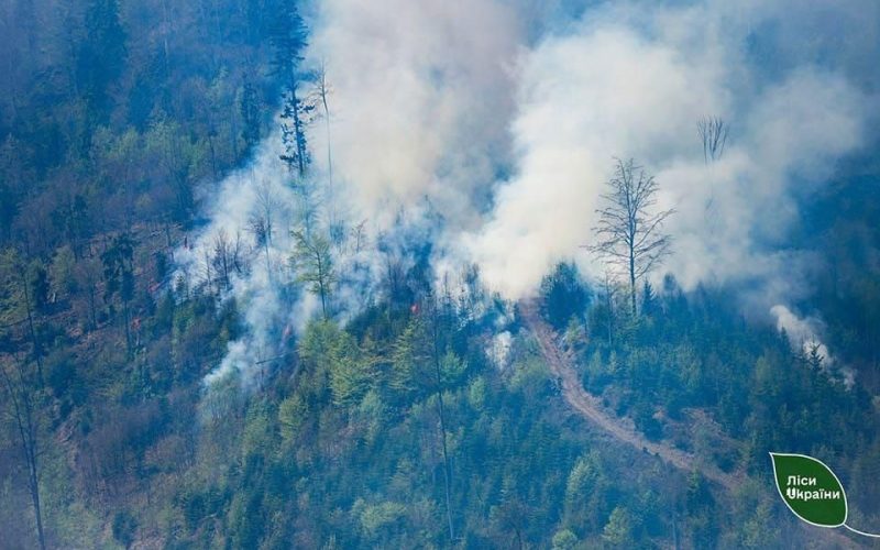 Диверсія – встановлено причину лісової пожежі у Словечанській громаді