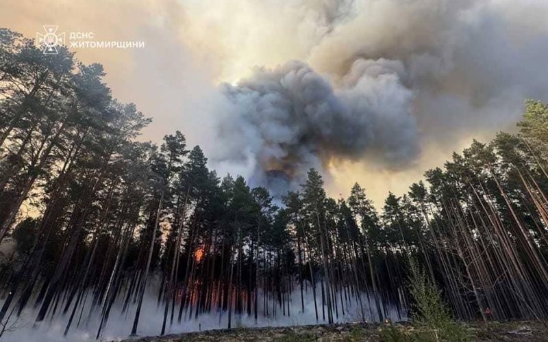 На Житомирщині палає 500 га лісу: частина територій замінована