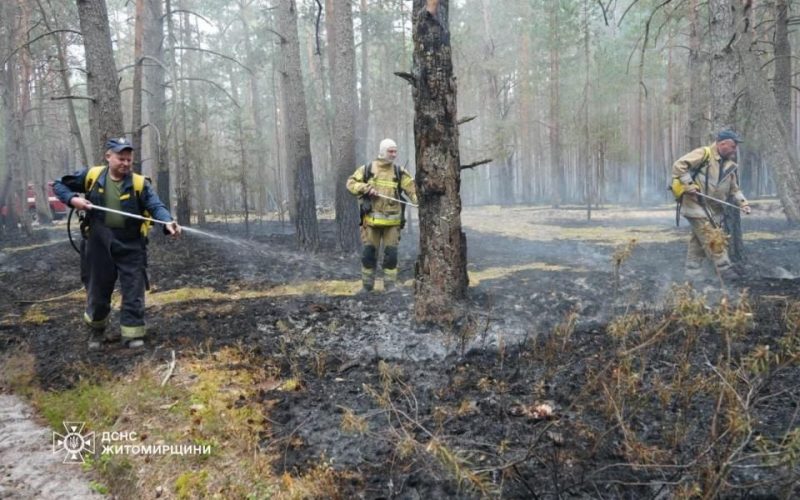 У природному заповіднику на Овруччині рятувальники та лісівники борються з лісовою пожежею
