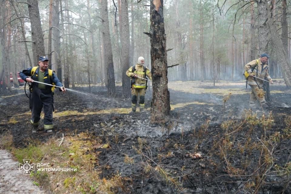 У природному заповіднику на Овруччині рятувальники та лісівники борються з лісовою пожежею
