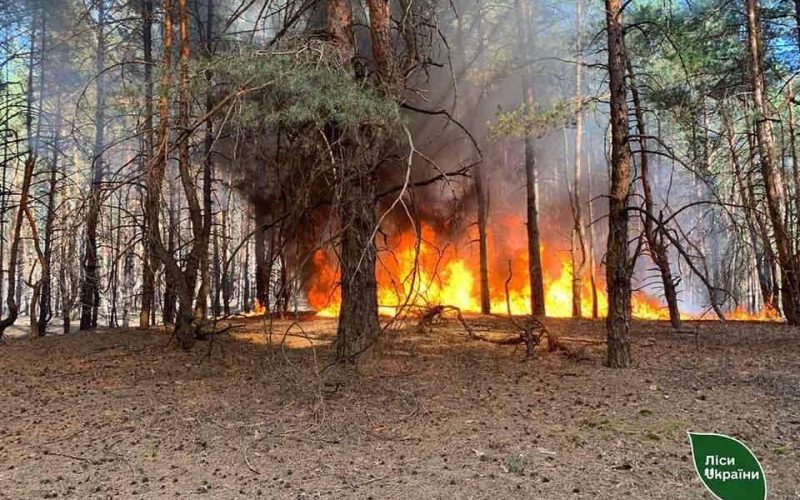 У Словечанському надлісництві безперервно 4 доби ліквідовували пожежу