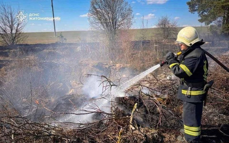 У Коростені через сильний вітер вогонь охопив 1,5 га сухої рослинності