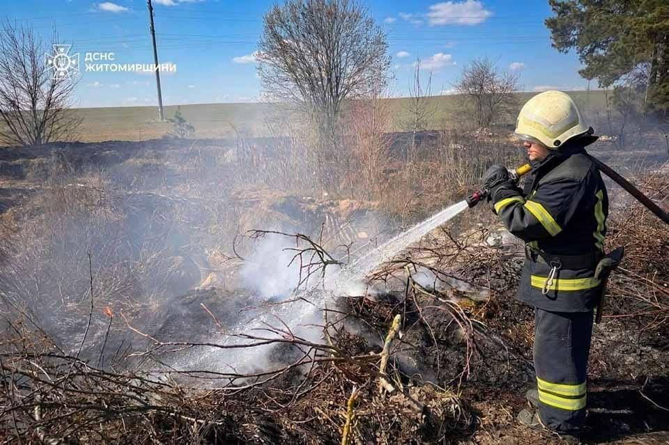 У Коростені через сильний вітер вогонь охопив 1,5 га сухої рослинності