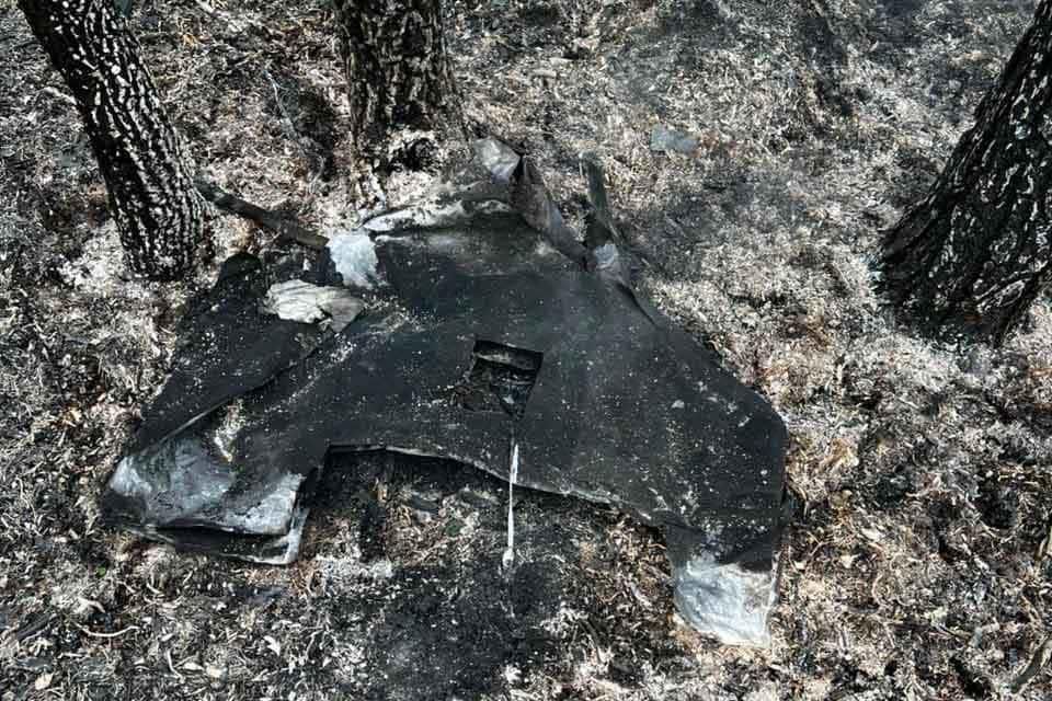 У Словечанському надлісництві після падіння уламків ворожого Шахеда спалахнула пожежа