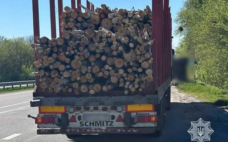 На автодорогах Житомирщини зафіксували майже 10 випадків порушень під час перевезення деревини