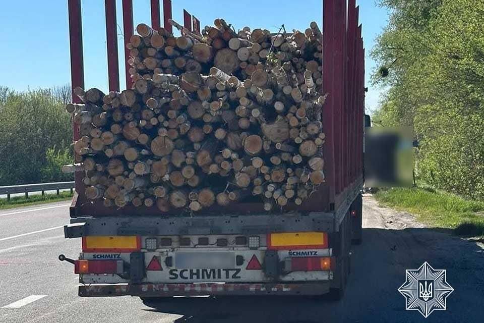 На автодорогах Житомирщини зафіксували майже 10 випадків порушень під час перевезення деревини