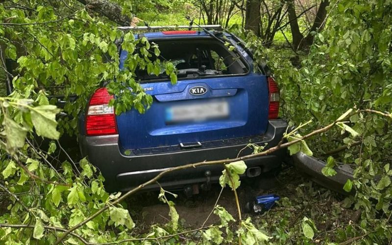 Між селами Чоповицької громади KІА з’їхав у кювет та врізався у дерево: загинули двоє чоловіків
