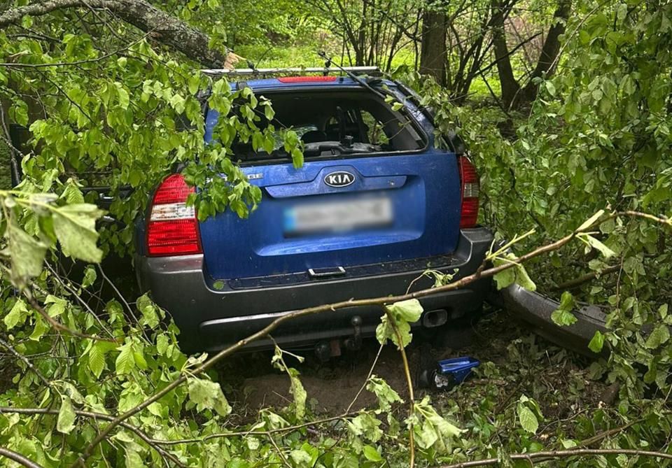 Між селами Чоповицької громади KІА з’їхав у кювет та врізався у дерево: загинули двоє чоловіків