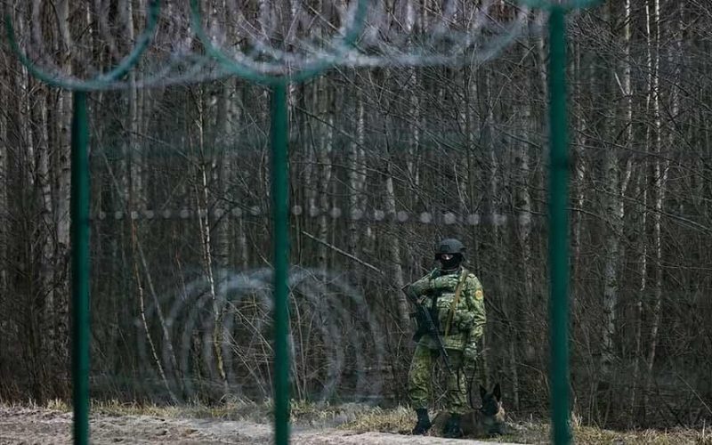 Білорусь обмежила доступ до лісів біля кордону з Україною