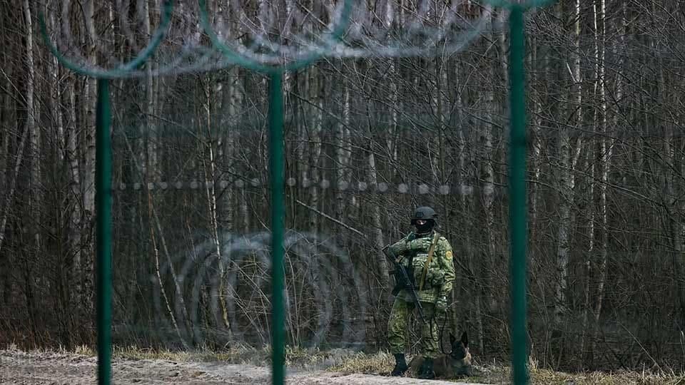 Білорусь обмежила доступ до лісів біля кордону з Україною