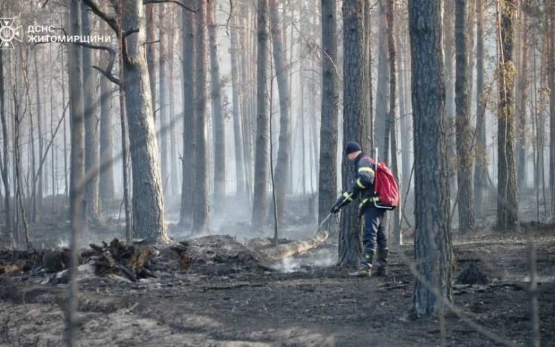 Протягом 12 днів вогнеборці з лісівниками боролися з пожежею на території Поліського заповідника на Коростенщині