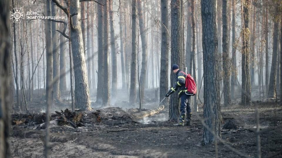 Протягом 12 днів вогнеборці з лісівниками боролися з пожежею на території Поліського заповідника на Коростенщині