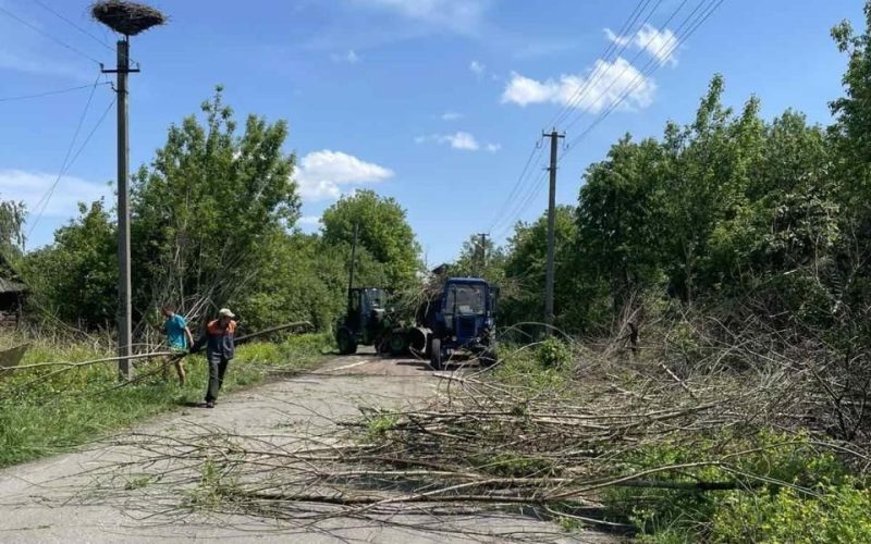 У селі Овруцької громади прибирають зрізане гілля та чагарники вздовж дороги