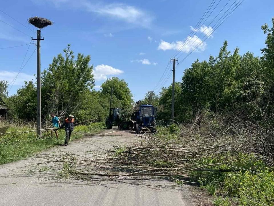 У селі Овруцької громади прибирають зрізане гілля та чагарники вздовж дороги