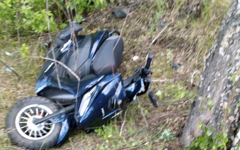 Між селами на Малинщині 45-річна жінка на скутері з’їхала з дороги та врізалась у дерево