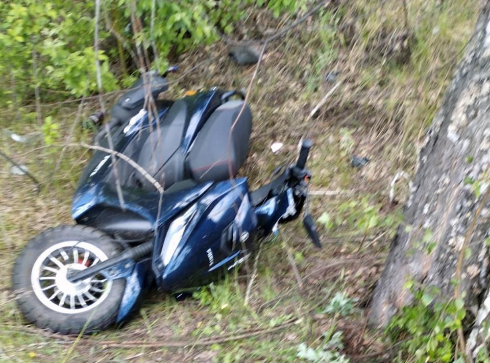 Між селами на Малинщині 45-річна жінка на скутері з’їхала з дороги та врізалась у дерево