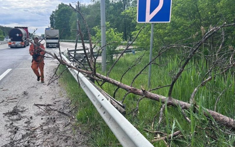 Через сильні пориви вітру на дорогах Житомирщини є загроза падіння дерев на проїзну частину