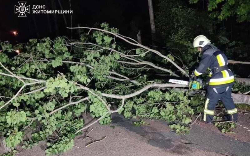 У Коростені та районі рятувальники прибирали з доріг повалені вітром дерева