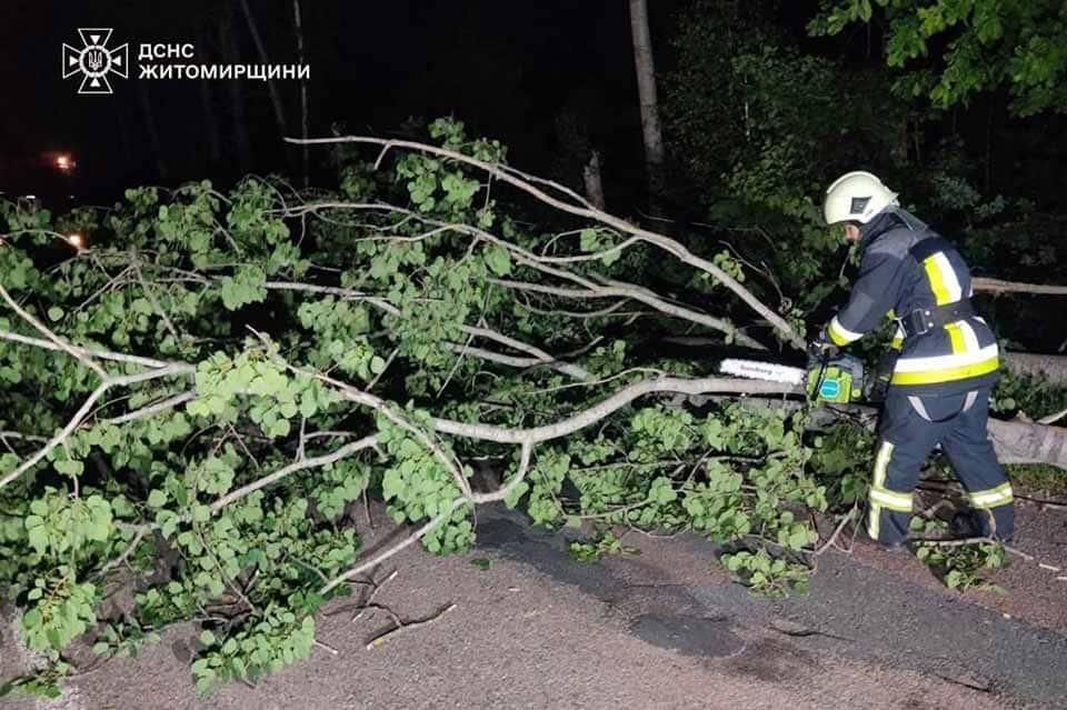 У Коростені та районі рятувальники прибирали з доріг повалені вітром дерева