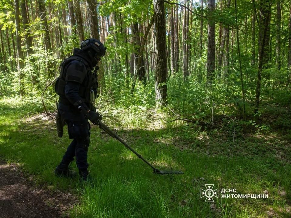 Під час прогулянки у лісі жителі одного з сіл поблизу Коростеня натрапили на артилерійські снаряди