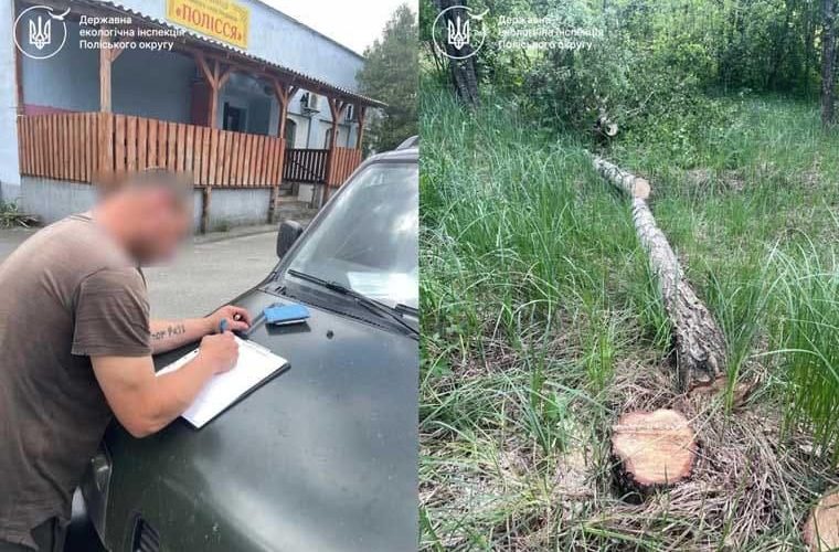 Поблизу одного з сіл Малинської громади виявили порушника, який незаконно зрубав три дерева: штраф – понад 24 тис. грн