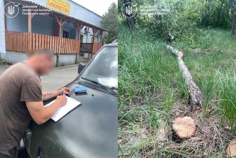 Поблизу одного з сіл Малинської громади виявили порушника, який незаконно зрубав три дерева: штраф – понад 24 тис. грн