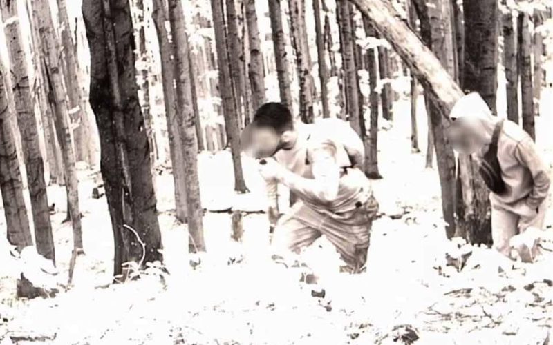 Двоюрідні брати з Житомирщини намагалися нелегально перейти кордон у горах: хотіли потрапити до Німеччини