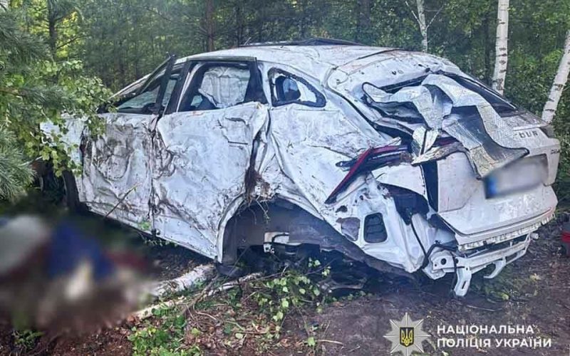 Подробиці ДТП у Малинській громаді, де загинула жінка