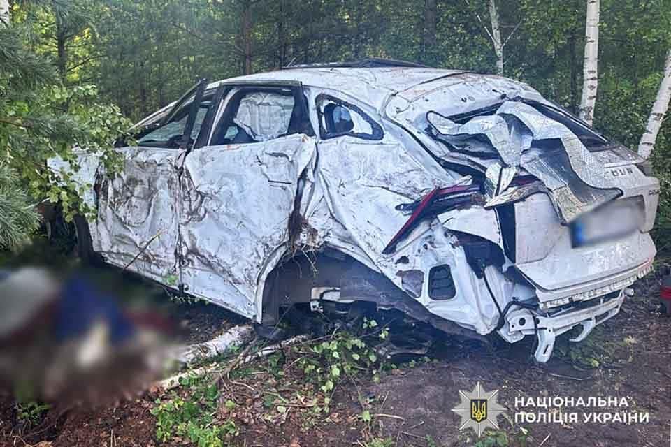 Подробиці ДТП у Малинській громаді, де загинула жінка