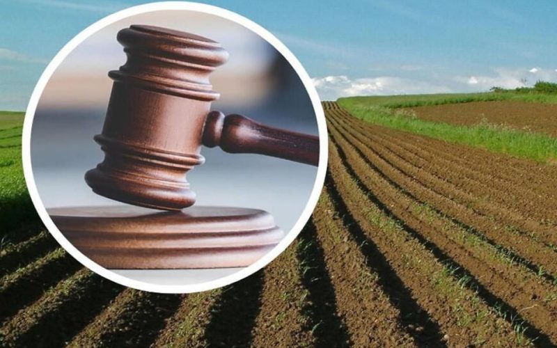 Суд зобов’язав Лугинську селищну раду повернути майже 10 га лісових земель