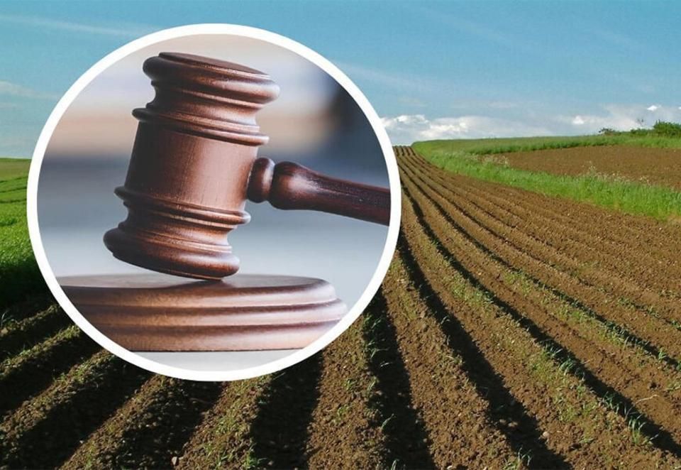 Суд зобов’язав Лугинську селищну раду повернути майже 10 га лісових земель