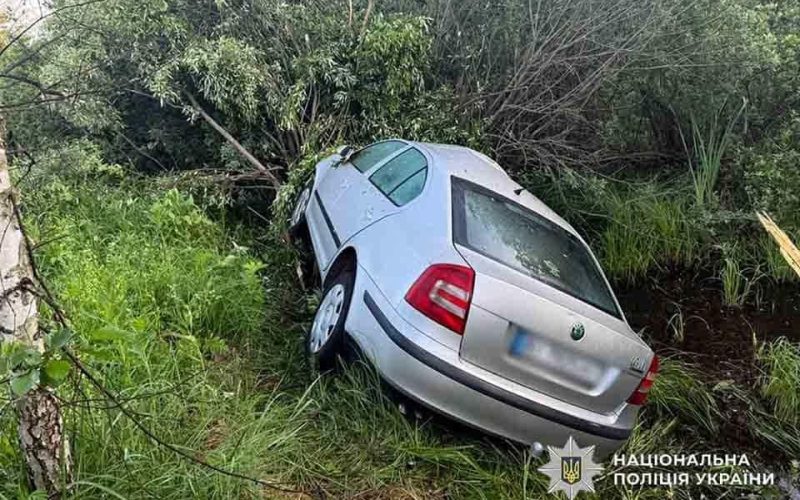 На трасі в Лугинській громаді Skoda збила лося, який вибіг на дорогу: тварина загинула, пасажирка травмована