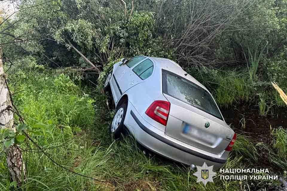 На трасі в Лугинській громаді Skoda збила лося, який вибіг на дорогу: тварина загинула, пасажирка травмована