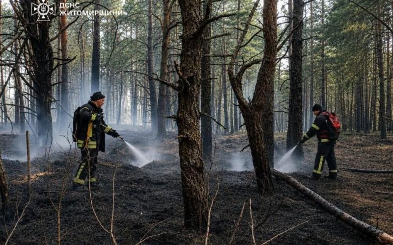 Через атаку рф у заповіднику на території Народиччини спалахнула пожежа: вогонь приборкували 4 дні