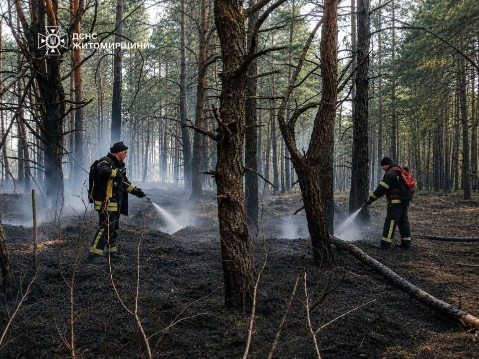Через атаку рф у заповіднику на території Народиччини спалахнула пожежа: вогонь приборкували 4 дні