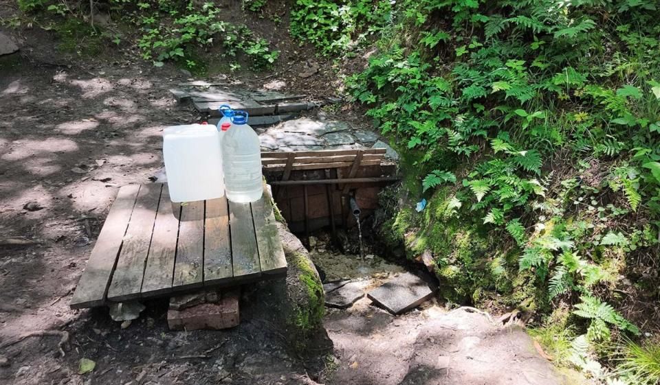 У Коростені перевірили якість води: лише два джерела відповідають усім нормам