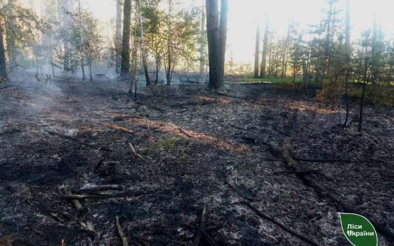 Дронова атака спричинила лісові пожежі на Коростенщині та в сусідніх надлісництвах
