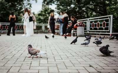 Погода у Коростенському районі: до 30° вдень і дощі у вівторок та четвер