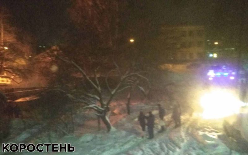 У Коростені рятувальники гасили займання сараю, а в районі – гараж (ВІДЕО, ФОТО)