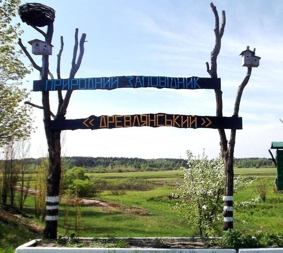 Заповідник «Древлянський», розташований на землях Народицької громади, оговтується після бойових дій: територія була замінована