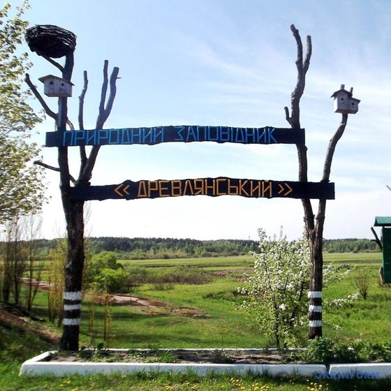 Заповідник «Древлянський», розташований на землях Народицької громади, оговтується після бойових дій: територія була замінована