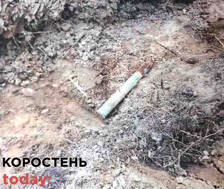 Під час висадки дерев у селі Коростенського району лісівники натрапили на артснаряди